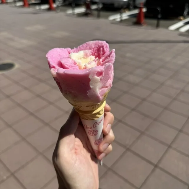 児玉冷菓 - 船越（その他）の写真