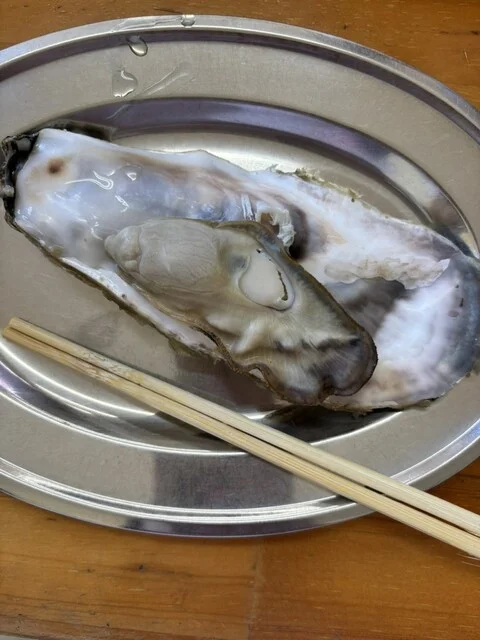 三陸山田 かき小屋 - 岩手船越（海鮮）の写真