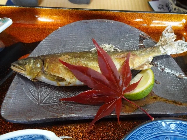 大門寿司 - 関根（寿司）の写真