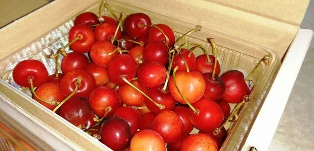 イオン  米沢店（AEON） - 西米沢（コンビニ・スーパー）の写真