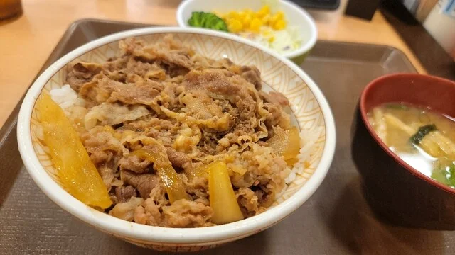 すき家 秋田東店 - 秋田（牛丼）の写真