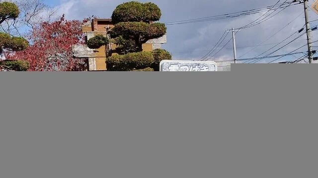 雪つばき食堂 - 水沢（食堂）の写真