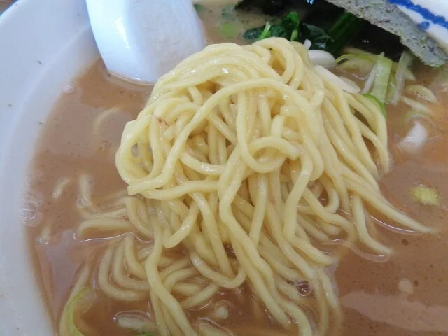 らーめん堂　仙台っ子 石巻店 - 石巻（ラーメン）の写真