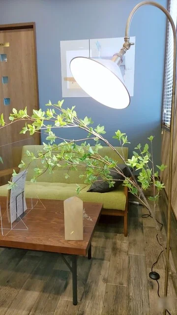 zakka&cafe nii-ni（雑貨&カフェ ニーニ） - 平館（カフェ）の写真