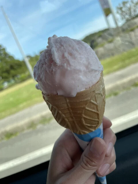 佐々木商事　井川さくらＳＳ - 井川さくら（ジェラート・アイスクリーム）の写真