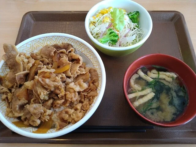 すき家 105号北秋田店 - 鷹巣（牛丼）の写真
