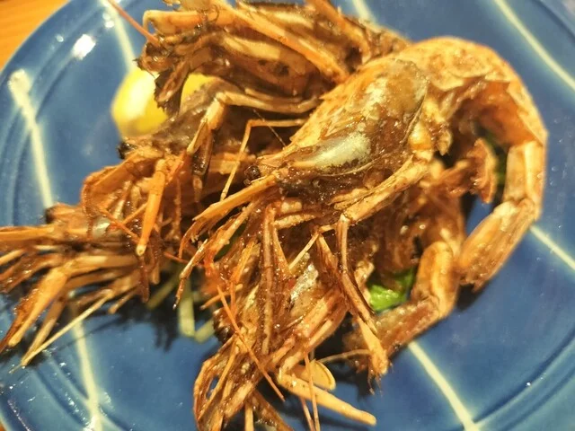 酔蓮（スイレン） - 秋田（居酒屋）の写真