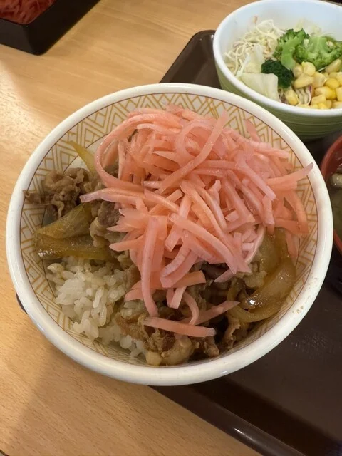 すき家 7号大館店 - 東大館（牛丼）の写真