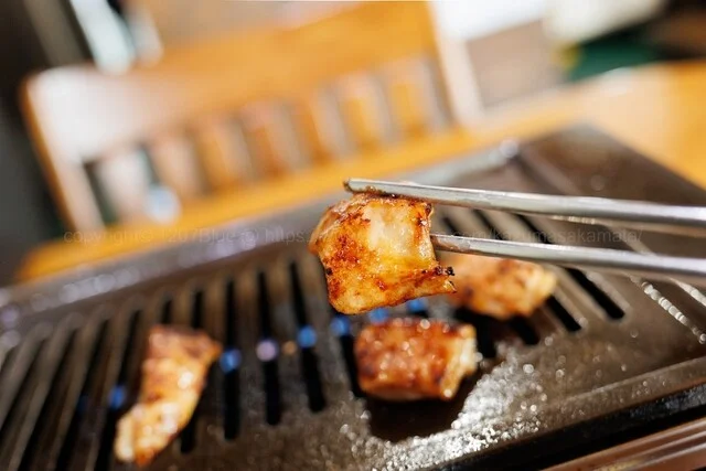 龍泉 - 岩手飯岡（ホルモン）の写真