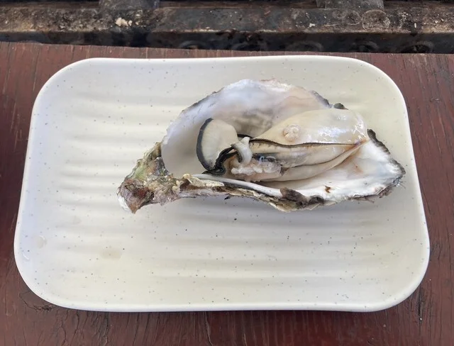 牡蠣蔵 KOO（コー） - 渡波（かき）の写真