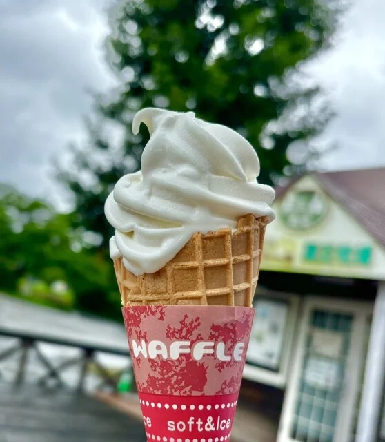 チーズハウス - 蔵王町その他（チーズ料理）の写真