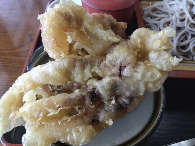 畠山旅館　更科八（はたけやまりょかん　さらしなや） - 渋民（料理旅館）の写真