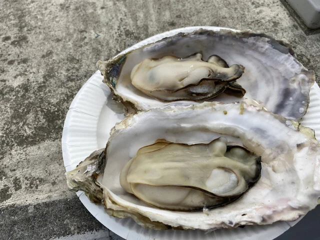 道の駅 硯上の里 おがつ - 石巻市その他（道の駅）の写真