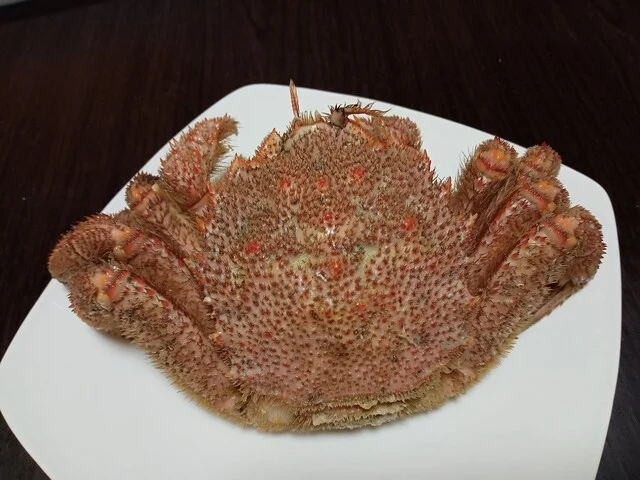 鮮魚 魚心 - 斗米（その他）の写真