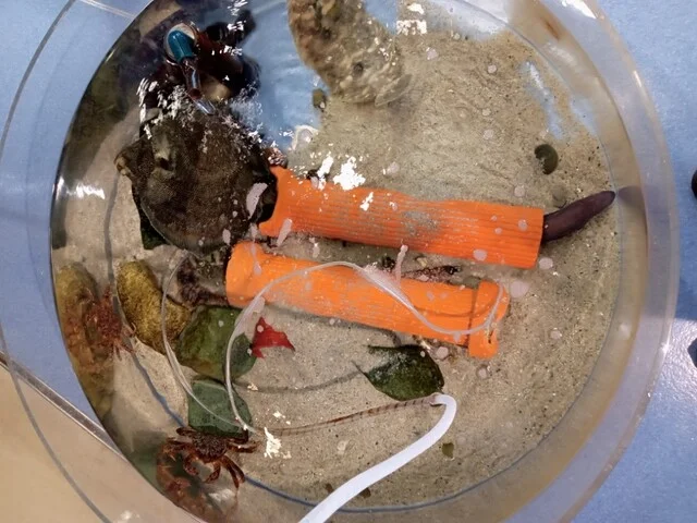 ホエールタウン おしか - 石巻市その他（その他）の写真