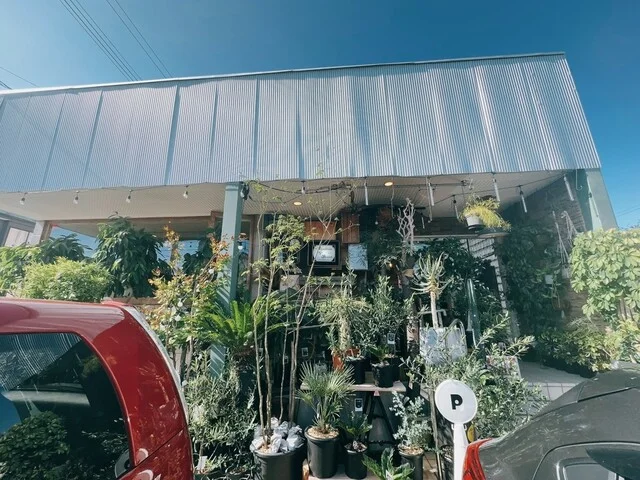 ハチコオリLAB（ハチコオリラボ） - 羽後牛島（かき氷）の写真