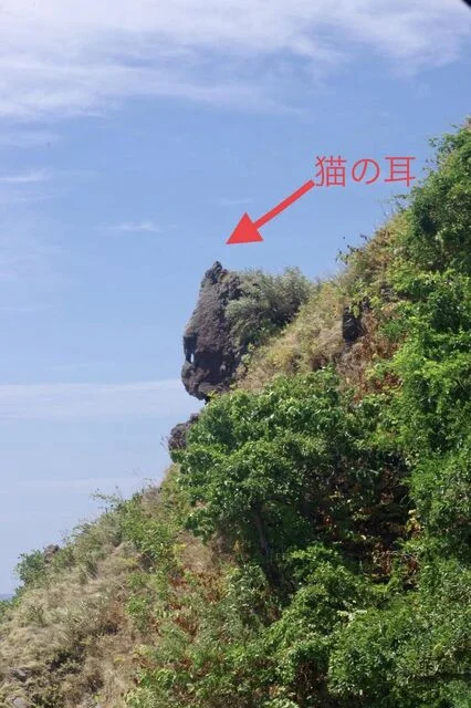 Rock Cat cafe（ロック キャット カフェ） - 男鹿市その他（カフェ）の写真