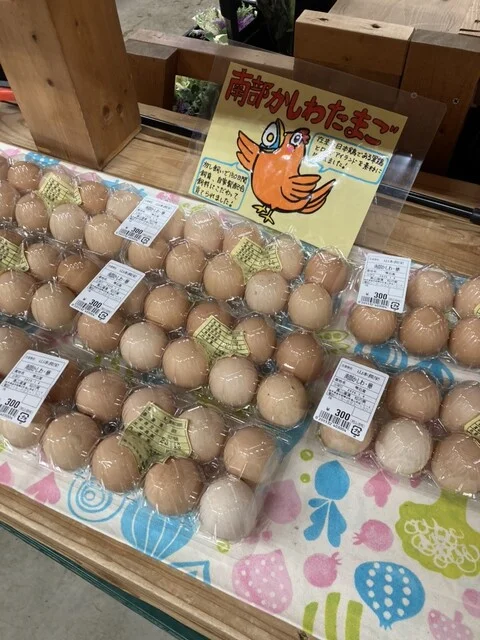 松の実 - 雫石町その他（その他）の写真