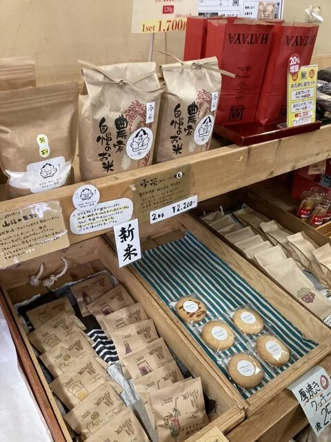 松の実 - 雫石町その他（その他）の写真