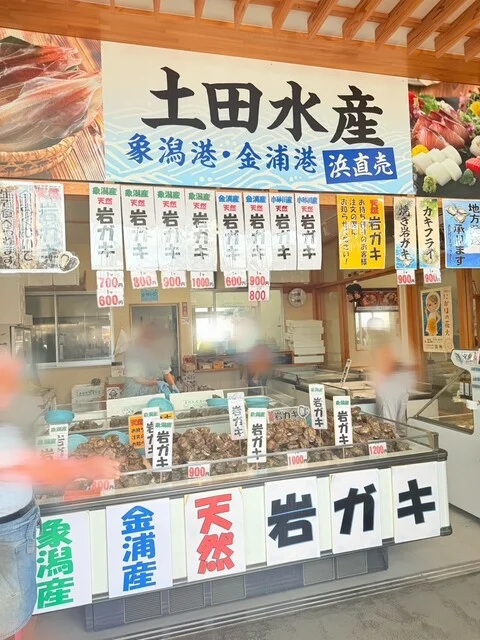 土田水産 - 象潟（その他）の写真