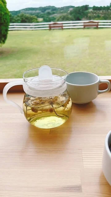 自然食レストラン ティルズ（ティルズ） - 油島（ヨーロッパ料理）の写真