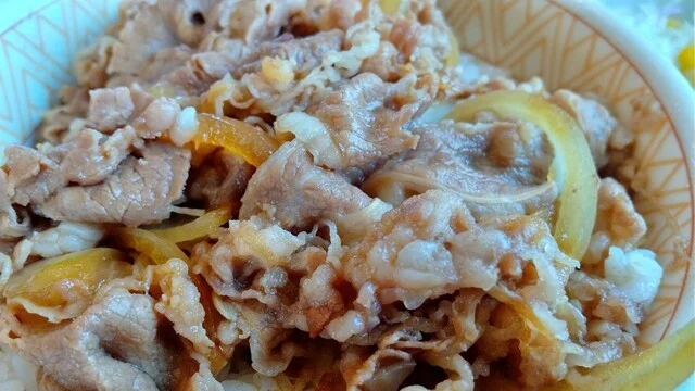 すき家 105号大仙北長野店 - 羽後長野（牛丼）の写真