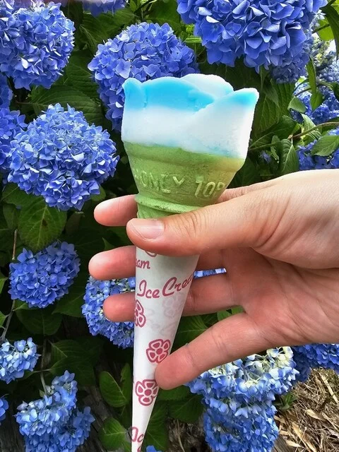 ババヘラアイス（進藤冷菓） - 船越（その他）の写真