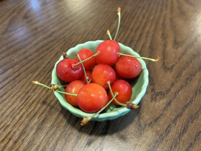 カレーハウス園 駅前店 - 米沢（インド料理）の写真