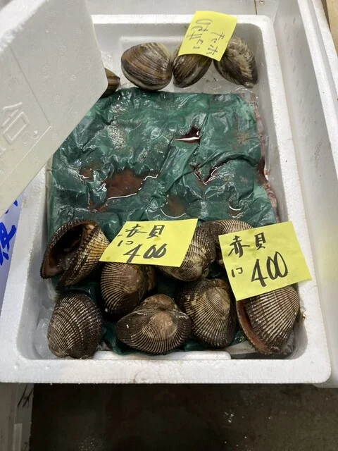 すっぽんかがや - 秋田（その他）の写真