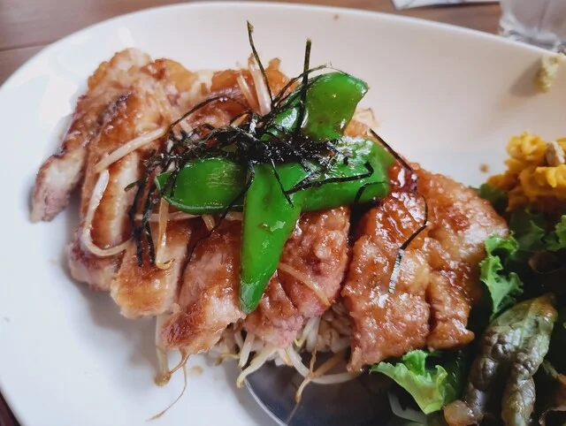 cafe やどり木 - 出戸浜（カフェ）の写真