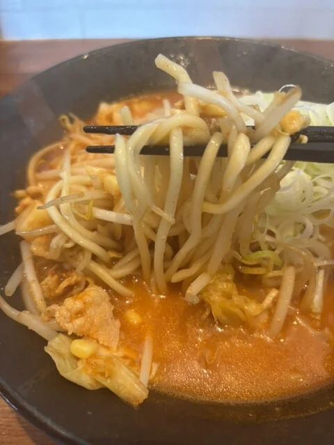 柳家 一関店 - 山ノ目（ラーメン）の写真