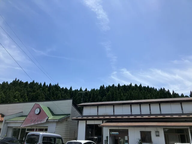 千年桜（センネンザクラ） - 黒沢（由利高原）（食堂）の写真