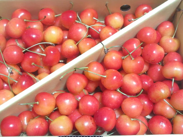 あいば商店 - 秋田（その他）の写真