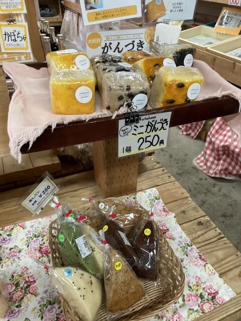 松の実 - 雫石町その他（その他）の写真