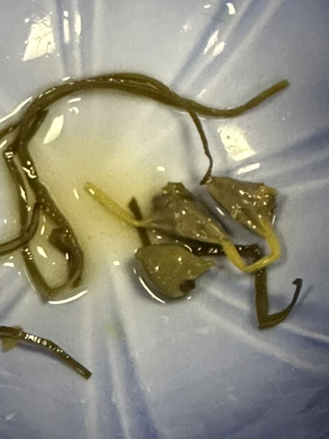 蔵王プラザホテル - 山形市その他（ホテル）の写真