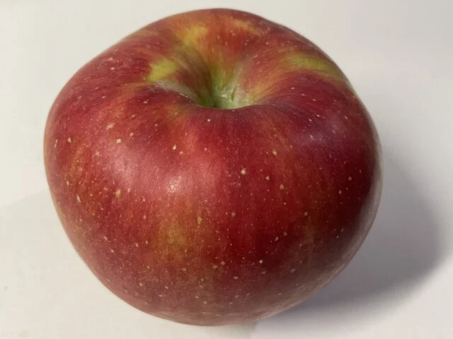 愛菜館（アイサイカン） - 米沢（その他）の写真