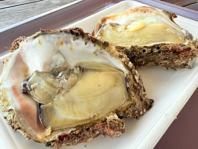 土田水産 - 象潟（その他）の写真