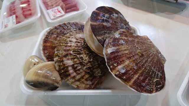 サン・フィッシュ釜石 - 釜石（その他）の写真