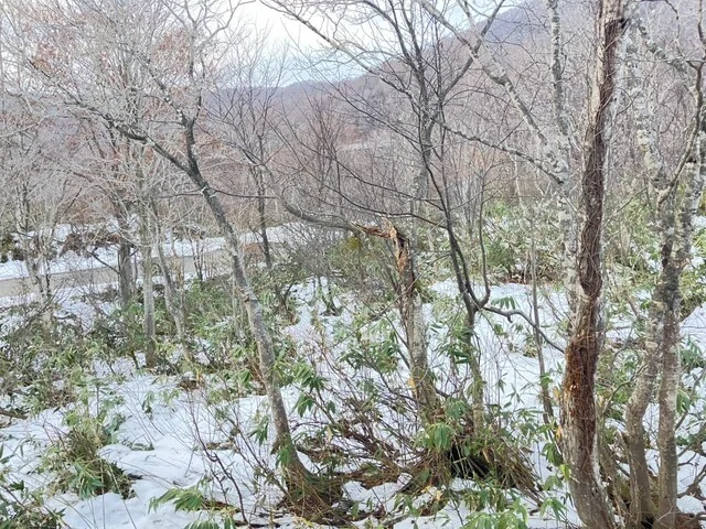 新玉川温泉 - 仙北市その他（旅館・民宿）の写真