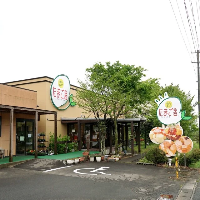 森の芽ぶき たまご舎 蔵王本店（タマゴヤ） - 蔵王町その他（オムライス）の写真