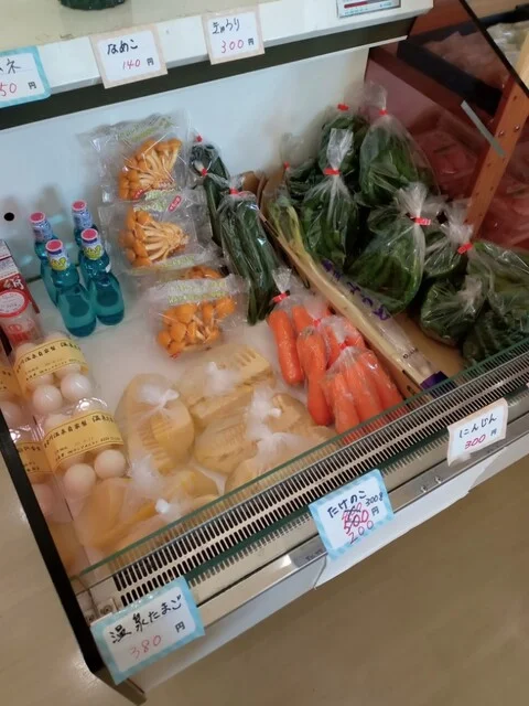 黄金川温泉（コガネガワオンセン） - 東白石（その他）の写真