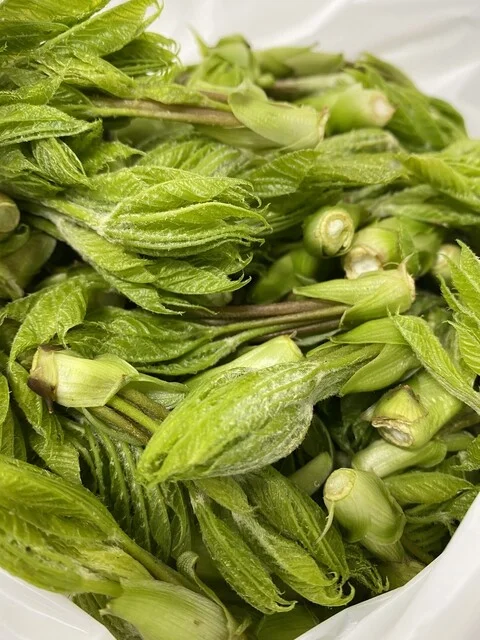 日本料理 新茶家 - 奥州市その他（日本料理）の写真