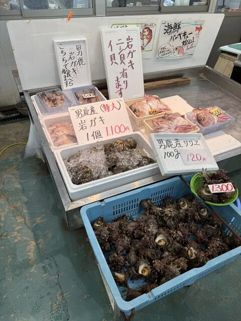 男鹿海鮮市場 - 男鹿（その他）の写真