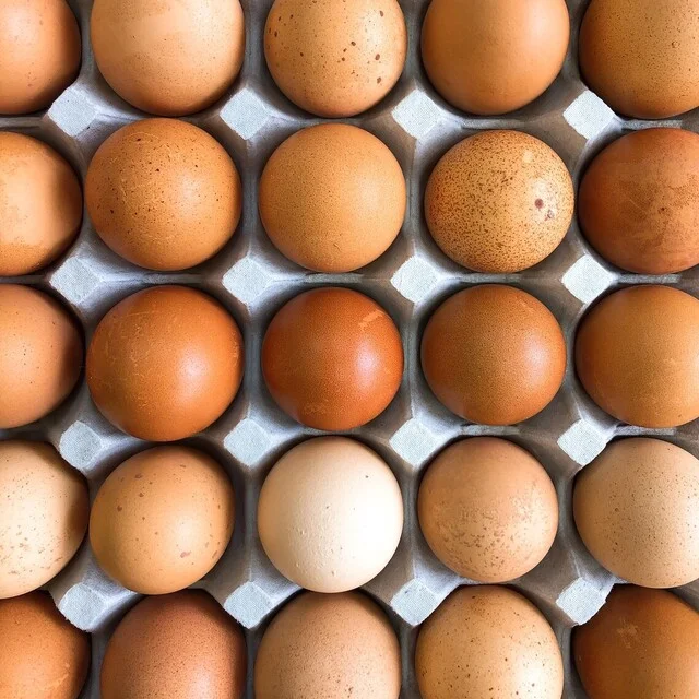 菓子工房エスポワール - 二ツ井（ケーキ）の写真