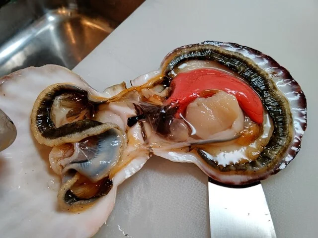 与助（YOSUKE） - 平田（海鮮）の写真