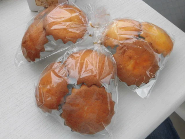 パンの国 - 小佐野（パン）の写真