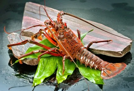 ステーキ・鉄板料理和かな 北上店 - 柳原（鉄板焼き）の写真