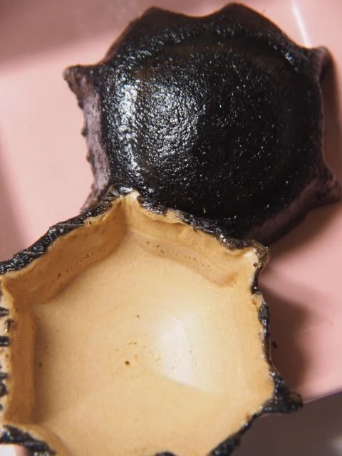 亀の子せんべい本舗大浪 上ノ橋店 - 一ノ関（せんべい）の写真